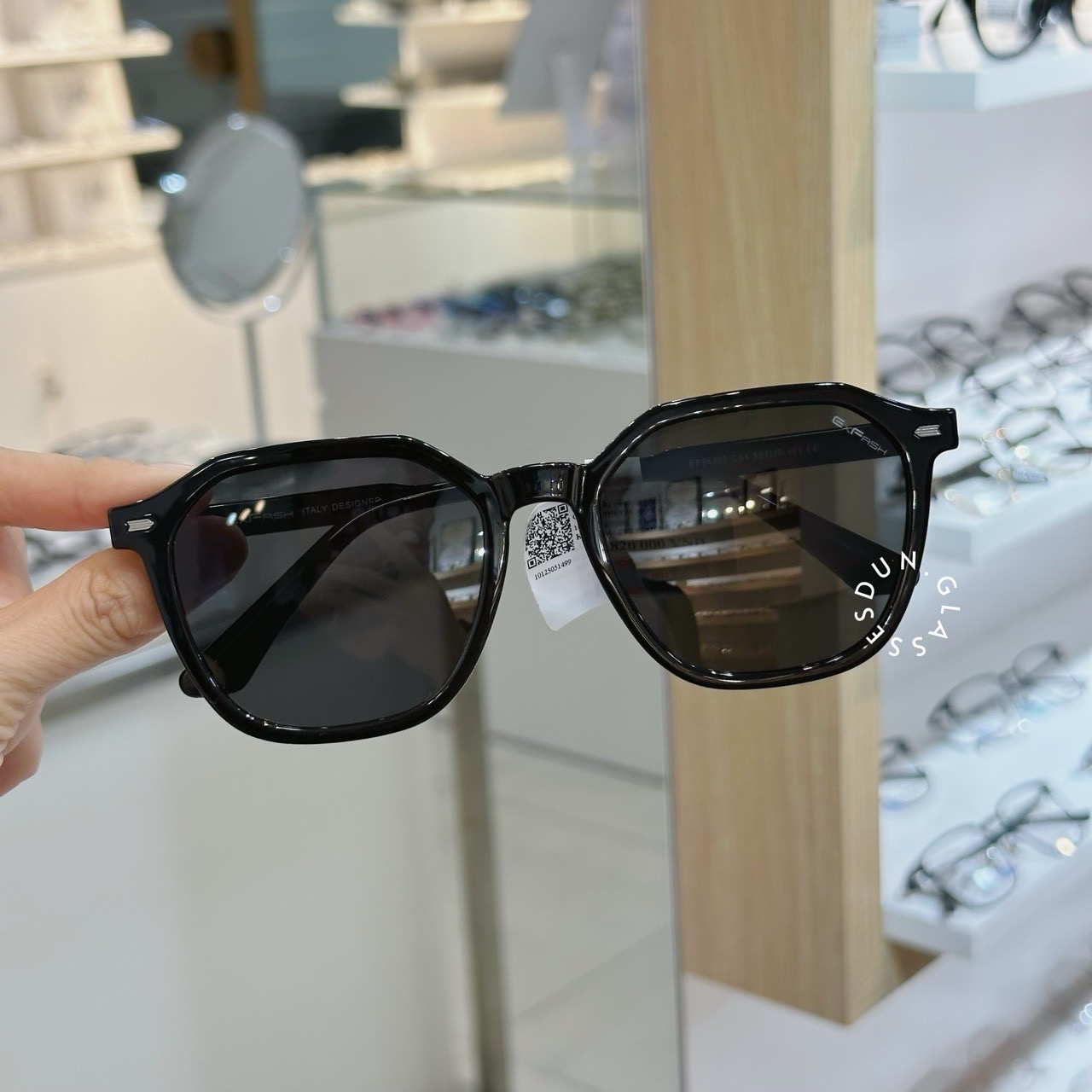 Kính mát Exfash EF 25202