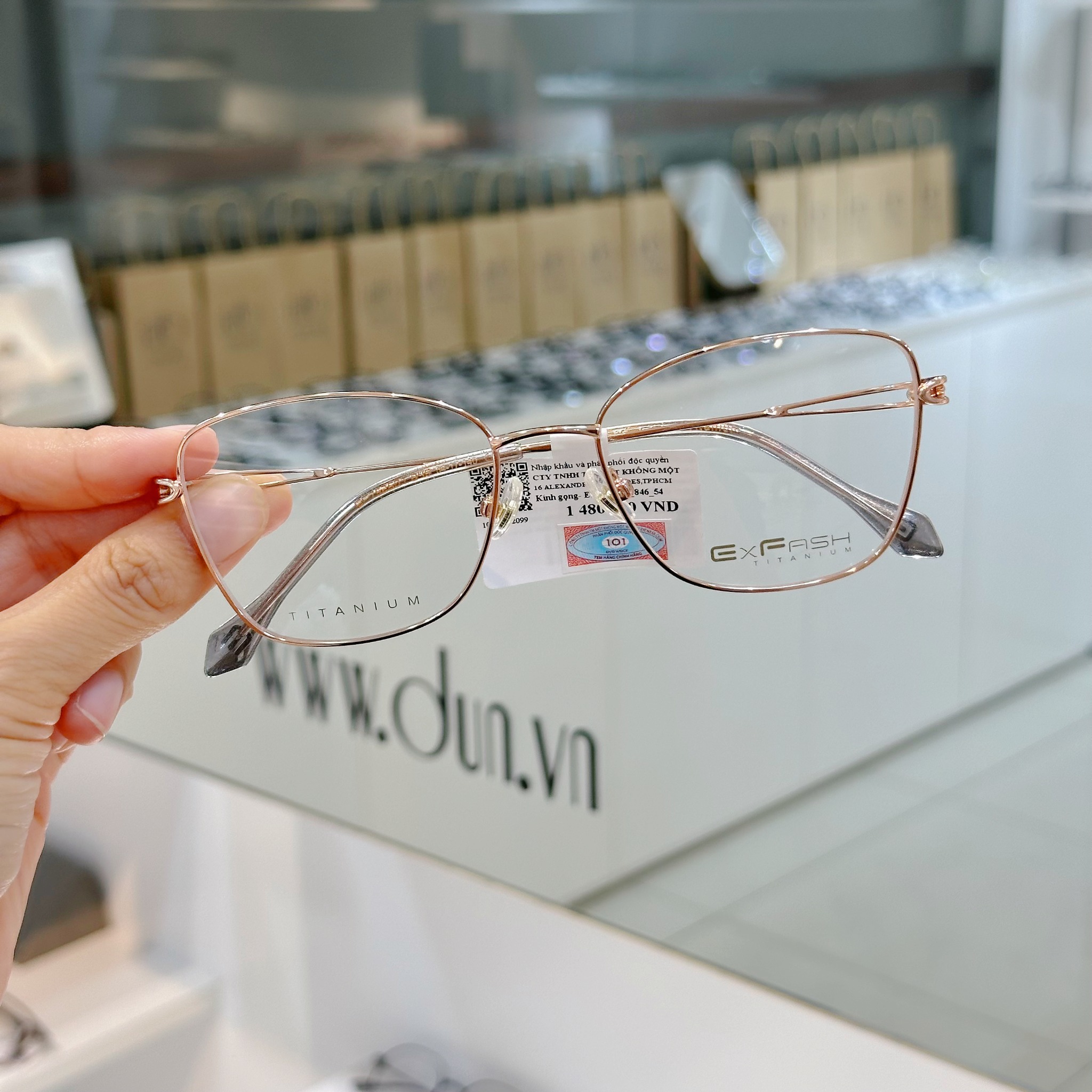Mắt kính titanium Exfash EF 75260 - Ảnh 2