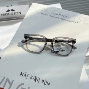 Mắt kính Molsion MX 3001
