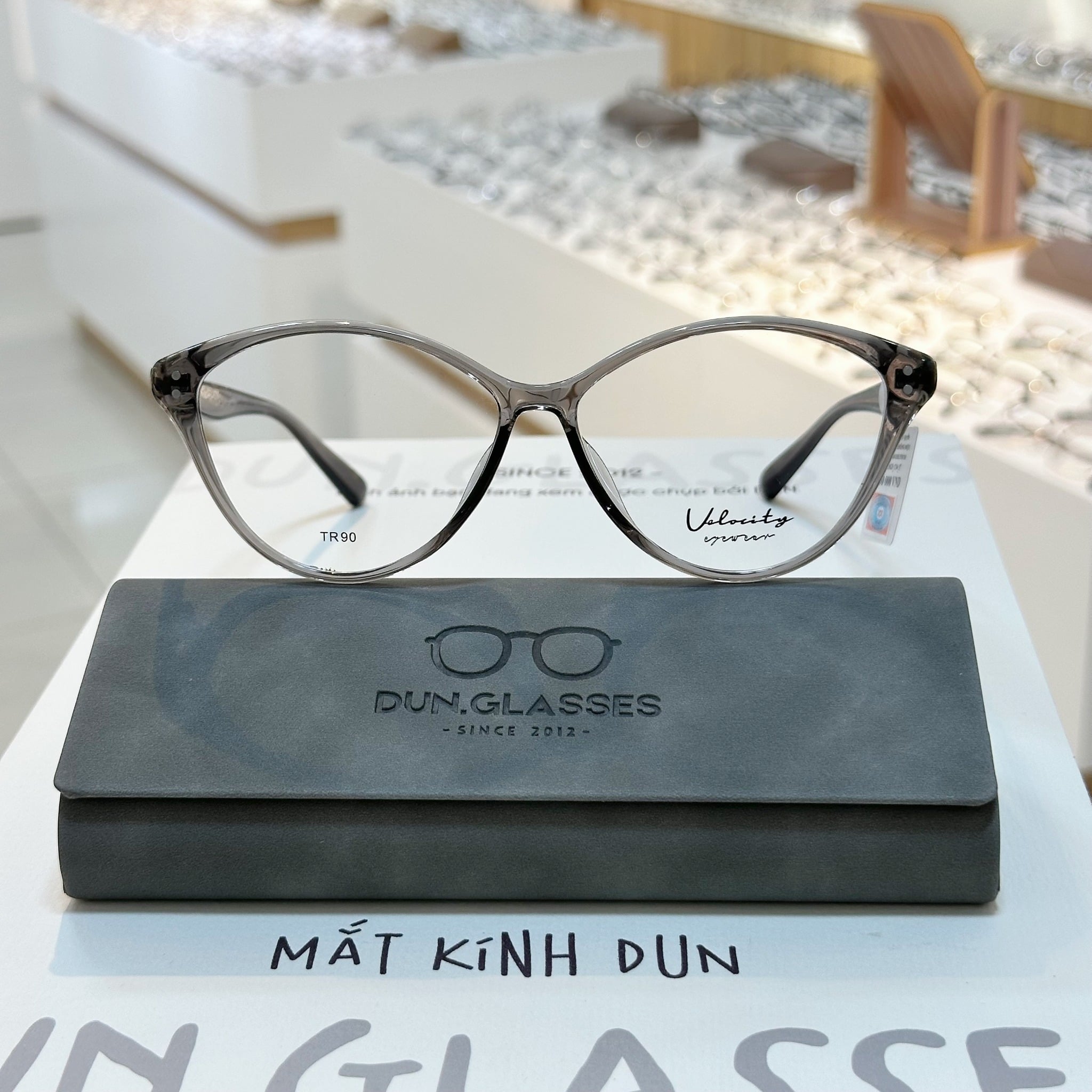 Mắt kính Velocity VL 23623 - Ảnh 6