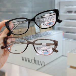 Mắt kính Velocity VL 23634